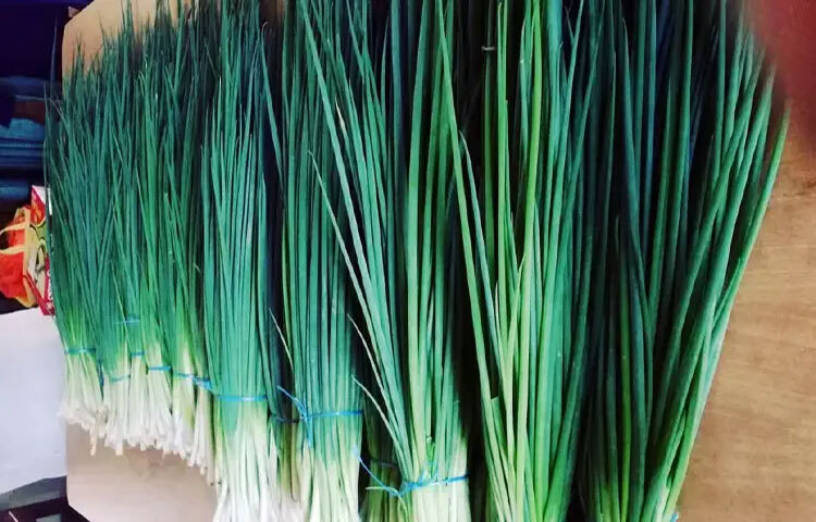 এই সবজিতে থাকা আঁশ হজম প্রক্রিয়াকে স্বাভাবিক রাখতে সাহায্য করে। কোষ্ঠকাঠিন্য দূর করে এবং অন্ত্রের কার্যকারিতা বাড়ায়। হালকা ভাজি বা স্যুপ হিসেবে খেলে পেটের জন্য বেশ উপকারী।