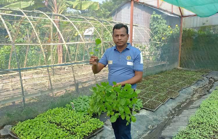 এদিকে বীজতলার তাপমাত্রা নিয়ন্ত্রণে শেডের ওপরে পলিফ্লিম এবং রোগ-জীবাণু ও মশা-মাছি রোধে চারপাশে সাইড নেট দিয়ে ঘিরে রাখা হয়েছে। ফলে এ চারা যেমন রোগপ্রতিরোধ ক্ষমতা সম্পন্ন, তেমনই দ্রুত বেড়ে ওঠার পাশাপাশি ফলনও ভালো হয়।