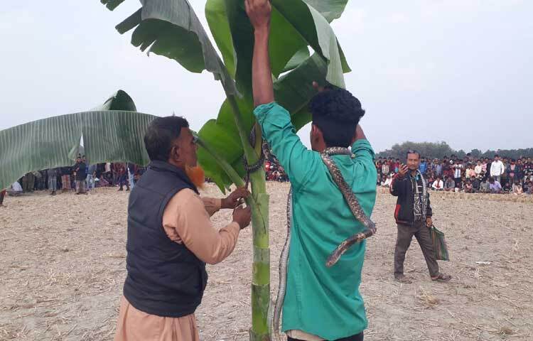 খেলায় নিজ নিজ দক্ষতা দেখিয়ে দর্শকদের মুগ্ধ করেন তান্ত্রিকরা।