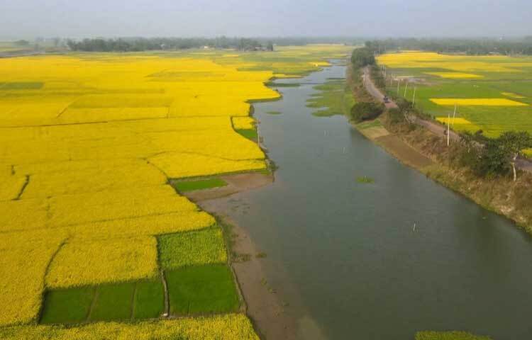 শান্ত স্নিগ্ধ বিলপাড়ের গ্রামগুলোতে মাঘের শীতেই যেন নেমে এসেছে বসন্ত।