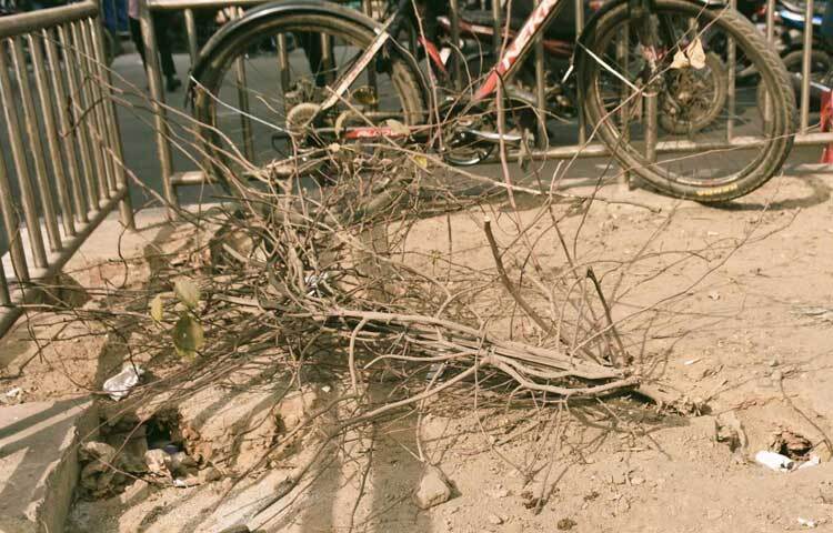 বিশ্বের ১২৩টি শহরের মধ্যে ঢাকা এ অবস্থান অর্জন করেছে।