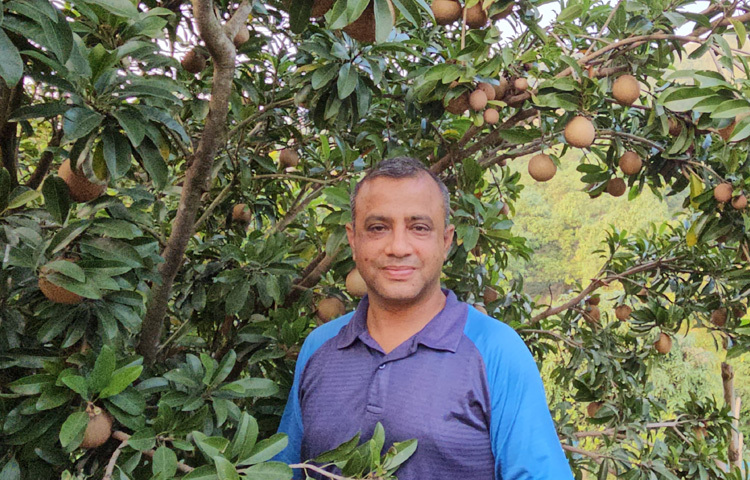 নির্জন গহীন পাহাড়ে বিদেশি এ ফল প্রথমবার দেখে অবাক হচ্ছেন অনেকে।