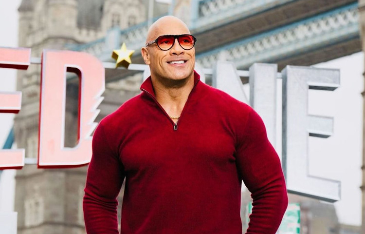 ২০০১ সালে ‘দ্য মমি রিটার্নস’ চলচ্চিত্রের মাধ্যমে হলিউডে পা রাখেন জনসন।