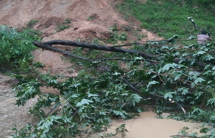 স্থানীয়রা জানায়, শনিবার সকাল থেকে মৌলভীবাজারে ভারী বর্ষণ হচ্ছে। মাঝে বৃষ্টি কম থাকলেও বিকেল ৩টার পর ভারী বর্ষণ শুরু হয়। একসময় ভারী বর্ষণের কারণে রাজনগর-কুলাউড়া আঞ্চলিক মহাসড়কের ২৪ নম্বরে পাহাড় ধসের ঘটনা ঘটে।