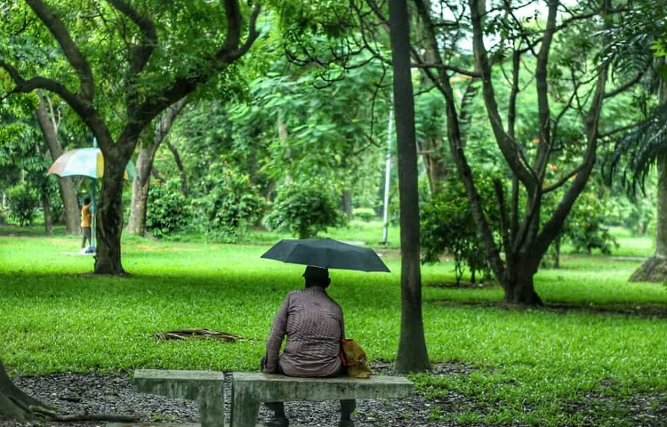 কেউ বৃষ্টি উপভোগ করেছেন প্রাণ ভরে, কেউ ভিডিও করেছেন মোবাইলে, কেউ আবার দীর্ঘদিন পর এই সময়টুকুকে ‘বেঁচে থাকা’র মতো অনুভব করেছেন।