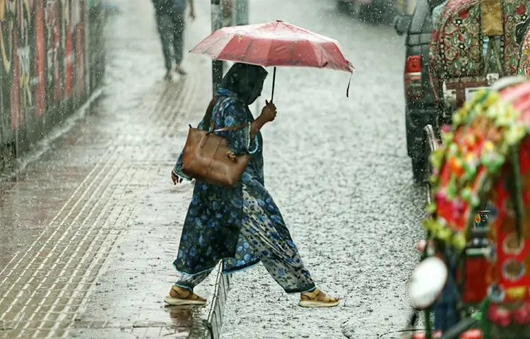 শীতের পর রাজধানী ঢাকার বিভিন্ন এলাকায় হালকা বৃষ্টি হয়েছে। আজ দুপুর ২টার পর বাড্ডা, আগারগাঁও, মগবাজার ও ফার্মগেটসহ বিভিন্ন এলাকায় এই বৃষ্টি শুরু হয়। আবহাওয়া অধিদপ্তরের আবহাওয়াবিদ তরিফুল নেওয়াজ কবির জাগো নিউজকে বলেন, এটি এই মৌসুমের প্রথম বৃষ্টি। গতকাল রাতেই ঢাকাসহ দেশের ৫ বিভাগে বৃষ্টির আভাস ছিল। ছবি: মাহবুব আলম