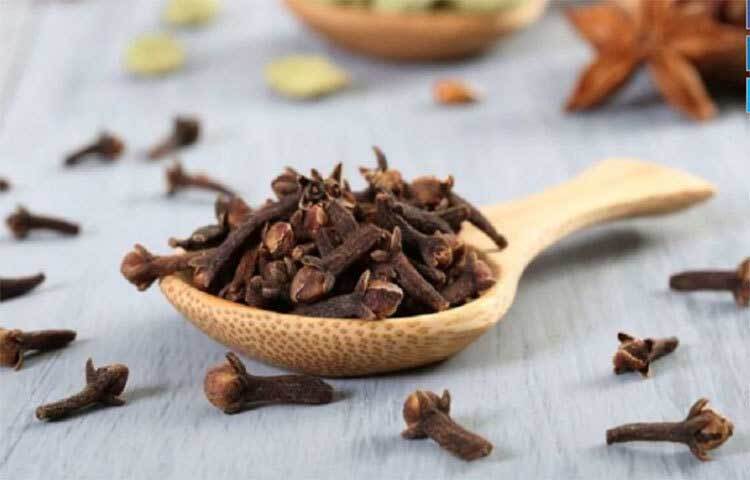 লবঙ্গে থাকা সক্রিয় যৌগগুলো ইনসুলিনের সংবেদনশীলতা বাড়াতে পারে, যা রক্তে শর্করার মাত্রা নিয়ন্ত্রণ করতে এবং টাইপ ২ ডায়াবেটিসের ঝুঁকি কমাতে সাহায্য করে। ছবি: সংগৃহীত