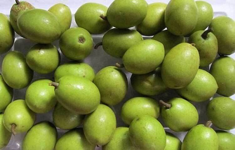 নিয়মিত জলপাই খেলে গ্যাস্ট্রিক-আলসার কম হয়। বিপাকক্রিয়া ঠিকভাবে হয়। জলপাইয়ের খোসায় রয়েছে প্রচুর আঁশ, যা খাবার হজমে সাহায্য করে।