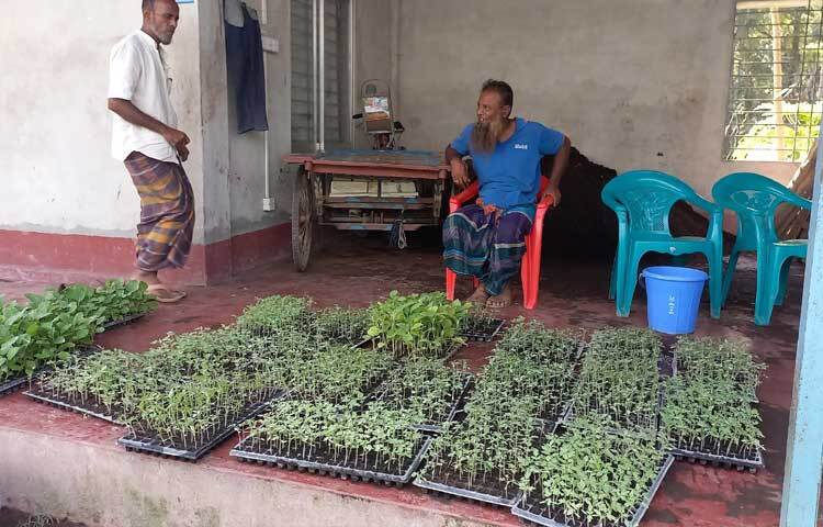 রাজবাড়ী সদর উপজেলা কৃষি অফিসার মো. জ‌নি খান বলেন, ‘এ পদ্ধতির মাধ্যমে কৃষকেরা সারাবছর উন্নত চারা পাচ্ছেন। এ চারা রোগ-জীবাণু প্রতিরোধ ক্ষমতা সম্পন্ন। মাটিবিহীন চারা তৈরি হলেও এ চারায় সব ধরনের উপাদান আছে। ফলে এতে কৃষকেরা স্বাবলম্বী হওয়ার পাশাপাশি দেশ খাদ্যে স্বয়ংসম্পূর্ণ হবে। এতে মাটির বীজতলার চেয়ে সময় ও খরচ সাশ্রয় হয়। এই শে‌ডের চারা এখন দে‌শের অন্য জেলায়ও যা‌চ্ছে।’