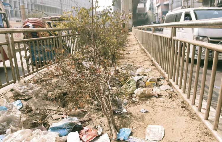 সড়ক বিভাজনে লাগানো গাছগুলো অতিরিক্ত ধুলোবালি ও পানির অভাবে প্রাণহীন হয়ে পড়েছে।