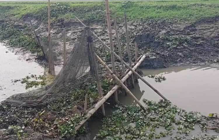 ফরিদগঞ্জ উপজেলা নির্বাহী কর্মকর্তা সুলতানা রাজিয়া বলেন, নদীতে বাঁধ দেয়ার বিষয়ে তদন্ত চলছে। নদীতে বাঁধ দিয়ে মাছ ধরা অপরাধ।