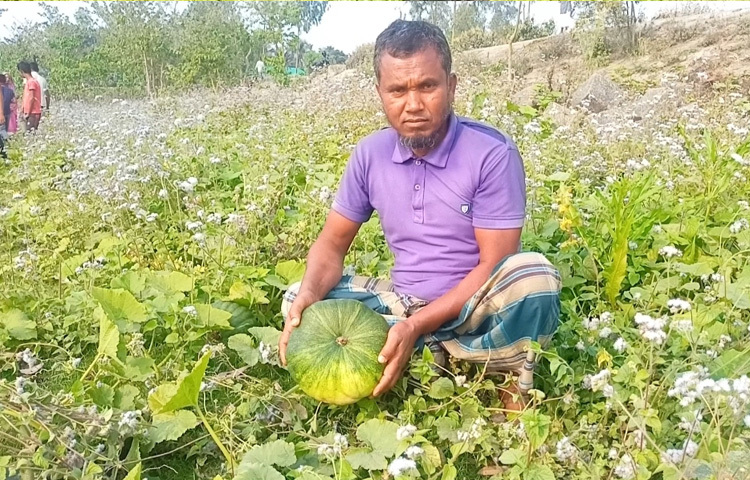 এ অঞ্চলে মিষ্টি কুমড়া চাষ এনে দিয়েছে নতুন গতি। কৃষকদের জীবন-জীবিকায় গুরুত্বপূর্ণ অবদান রেখে চলেছে এই সফল পরিবর্তন। জেলায় উৎপাদিত মিষ্টি কুমড়া রাজধানীসহ দেশের বিভিন্ন অঞ্চলে সরবরাহ করা হচ্ছে।