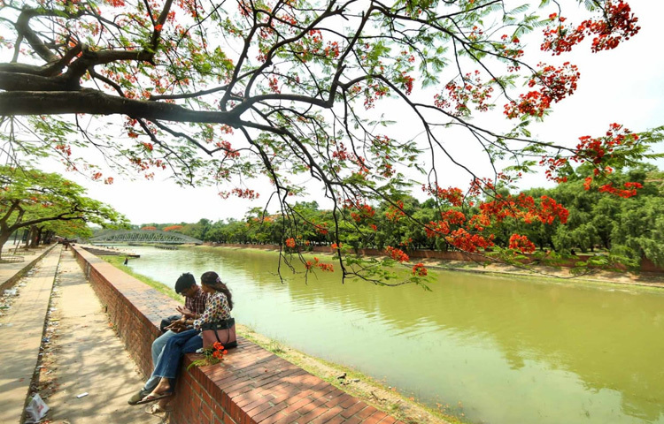 এই প্রচণ্ড উত্তাপের দিনে, কৃষ্ণচূড়ার আগুন যেন এক নীরব গান গাইছে-জীবন, ভালোবাসা আর সৌন্দর্য কখনো থেমে থাকে না।
