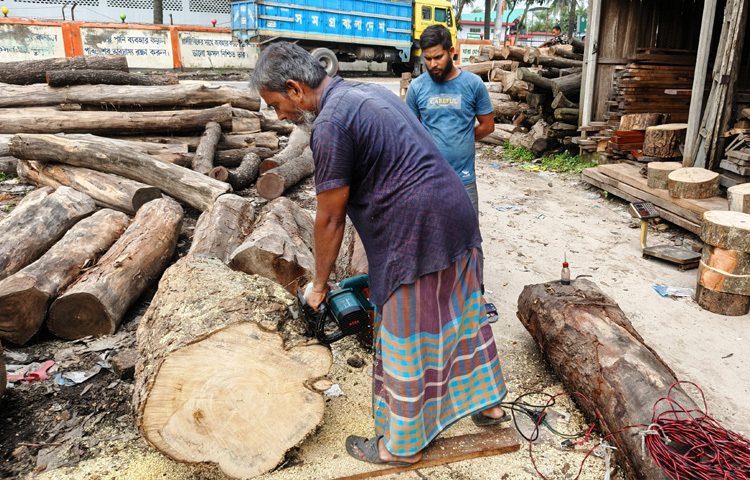 মৌসুমি এই পণ্য যেন কোরবানির মৌসুমে নতুন এক উৎসবের রূপ নিয়েছে।
