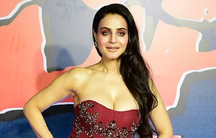 একটা সময় পর্যন্ত বলিউডে তার নিয়মিত উপস্থিতি ছিল চোখে পড়ার মতো। তবে সময়ের সঙ্গে সঙ্গে ক্যারিয়ারে দেখা দেয় ছন্দপতন। নতুন মুখের ভিড়ে হারিয়ে যেতে থাকে সেই মিষ্টি মুখ।