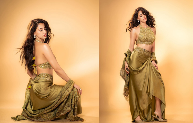 পরবর্তী সময়ে তিনি অভিনয় করেন ‘বাঘি ২’, ‘মালাং’, ‘রাধে’ ইত্যাদি ছবিতে। তবে এদের অনেকটাই ছিল হিরো কেন্দ্রিক ছবি, যেখানে দিশা মূলত গ্ল্যামার আর স্ক্রিন প্রেজেন্স দিয়েই নজর কেড়েছেন।