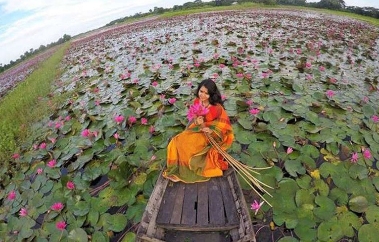 শাপলা হাতে মন্ত্রমুগ্ধ এক তরুণী। নীরব, শান্ত এক দুপুরে শাপলা হয়ে উঠতে পারে আপনার মানসিক প্রশান্তির দিশারি।