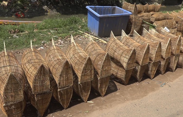 চাঁই কেনার জন্য আসা সরোয়ার শেখ বলেন, এই ফাঁদ দিয়ে বিভিন্ন মাছ ধরা হয়, যা তাদের পরিবারের খাওয়ার জোগান দেয়। প্রতিবছর বর্ষার তিন মাস তারা এভাবেই মাছ ধরে জীবিকা নির্বাহ করেন।