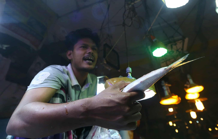 মাঝারি আকারের ৫০০-৭০০ গ্রাম ওজনের ইলিশও হাতের নাগালে নেই এর দাম কেজিপ্রতি ১ হাজার থেকে ১ হাজার ২০০ টাকা।