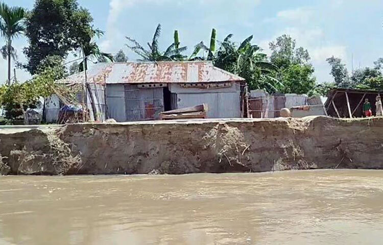 কমতে শুরু করেছে তিস্তা নদীর পানি। পানি কমলেও লালমনিরহাটে দেখা দিয়েছে ভাঙন। পানির স্রোতে দ্বীপের মতো ভেসে থাকা গ্রামগুলোতে এখন চোখে পড়ছে ভাঙা ঘর, ভেজা আসবাবপত্র আর কাদায় মাখামাখি উঠান। তীরবর্তী মানুষের মুখে একটাই দীর্ঘশ্বাস, ‘সব হারিয়েও এখন ভাঙনের ভয়’। স্থানীয়দের অভিযোগ, ভাঙন রোধে কার্যকর পদক্ষেপ না থাকায় প্রতিদিনই নতুন এলাকা নদীগর্ভে বিলীন হচ্ছে। ছবি: জাগো নিউজ