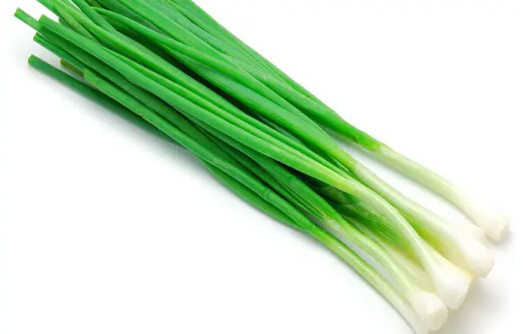 পেঁয়াজ পাতায় থাকা ভিটামিন এ ও সি ত্বকের কোষ পুনর্গঠনে সহায়তা করে। ত্বক উজ্জ্বল রাখে এবং চুলের গোড়া মজবুত করতে সাহায্য করে। ভিটামিন এ থাকার কারণে পেঁয়াজ পাতা চোখের দৃষ্টিশক্তি ভালো রাখতে সাহায্য করে এবং চোখের শুষ্কতা কমায়।