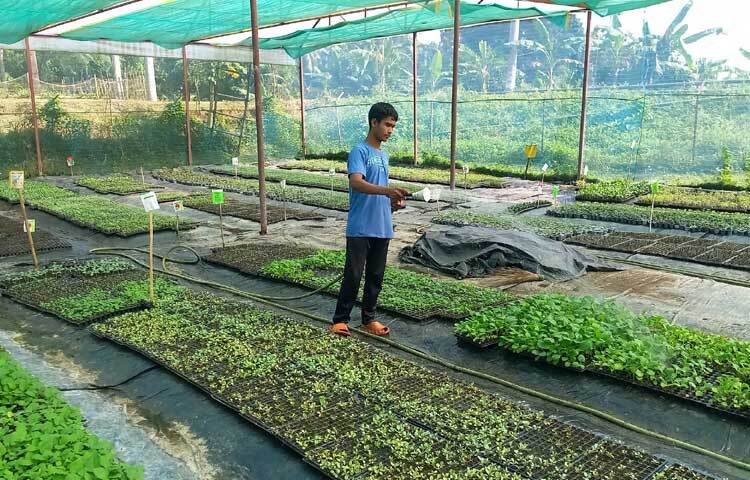 মাটিবিহীন আধুনিক প্রযুক্তিতে চারা তৈরির জন্য গ্রিন এগ্রো ছাড়াও জেলায় কয়েকটি নার্সারি আছে।