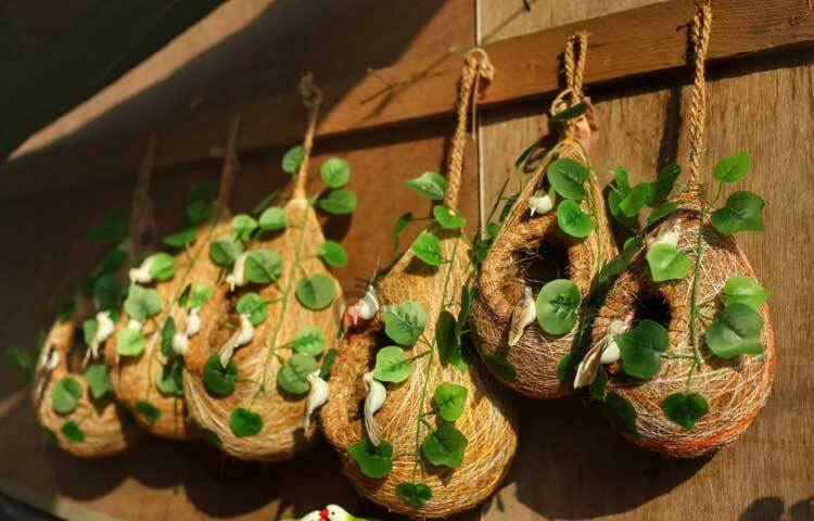 ঠিক যেন বাবুই পাখির বাসা।