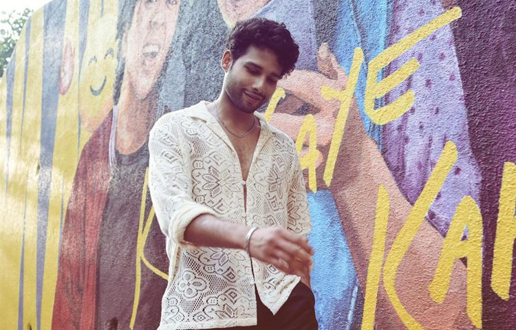 ‘গেহরাইয়ান’ সিনেমা অনেকের কাছে একটি মনস্তাত্ত্বিক সম্পর্কনির্ভর ছবি, কিন্তু সিদ্ধান্তের জন্য এটি ছিল আরেকটি পরীক্ষার জায়গা ও একজন গভীর চরিত্রধর্মী অভিনেতা হিসেবে নিজেকে প্রমাণ করার মঞ্চ। দীপিকা পাড়ুকোন, অনন্যা পান্ডের মতো তারকাদের পাশে দাঁড়িয়ে তিনি নিঃসন্দেহে নিজের জায়গা করে নিয়েছিলেন।