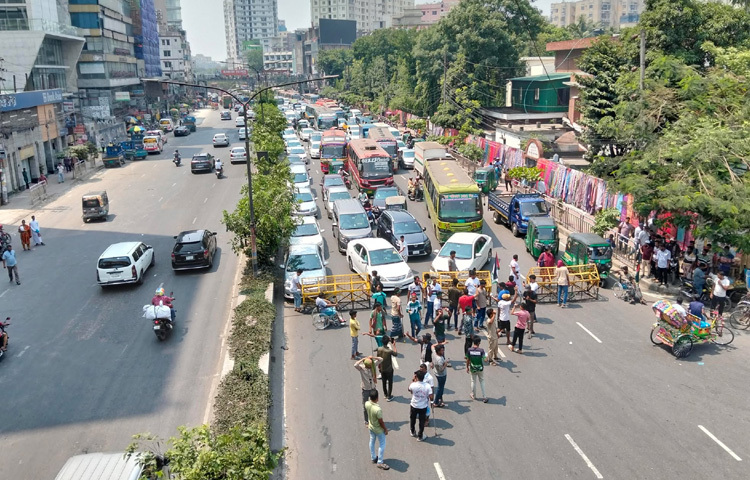 এছাড়া জামায়াত, ছাত্রশিবির, এবি পার্টি, গণঅধিকার পরিষদ, ইনকিলাব মঞ্চ, আপ বাংলাদেশসহ বিভিন্ন রাজনৈতিক, সামাজিক ও পেশাজীবী সংগঠনের নেতাকর্মীরা হাসনাত আবদুল্লার ডাকে সাড়া দিয়ে রাতেই যমুনার সামনে যান। পরে শুক্রবার দুপুরে যমুনা সংলগ্ন এলাকায় মঞ্চ বানিয়ে বিক্ষোভ সমাবেশ করেন।