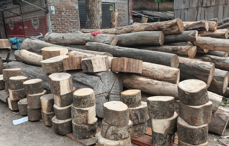 তেঁতুল ও বেল কাঠের জোগানে কিছুটা সংকট থাকলেও দিনাজপুরজুড়ে জমে উঠেছে খাইট্টার বাজার। আর কোরবানির আগের এই প্রস্তুতি যেন বলে দেয়-ঈদের আনন্দ শুধু পশু কোরবানির মধ্যে নয়, তা জড়িয়ে আছে এমন ছোট ছোট প্রয়োজনীয় জিনিসেও, যেগুলো ছাড়া ঈদের কাজ সম্পূর্ণ হয় না।