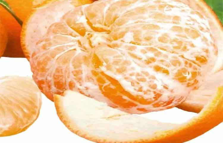 ওজন কমাতে বা নিয়ন্ত্রণে রাখতে চাইলে কমলা হতে পারে ভালো সহচর। এতে ক্যালরি কম, কিন্তু ফাইবার বেশি—যা দীর্ঘ সময় পেট ভরা অনুভূতি দেয়। এতে অকারণে বেশি খাওয়ার প্রবণতা কমে।