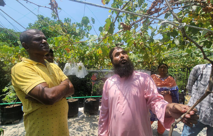 তার বাগান দেখতে প্রায়ই ভিড় জমান অনেকে। ছবি: এম মাঈন উদ্দিন