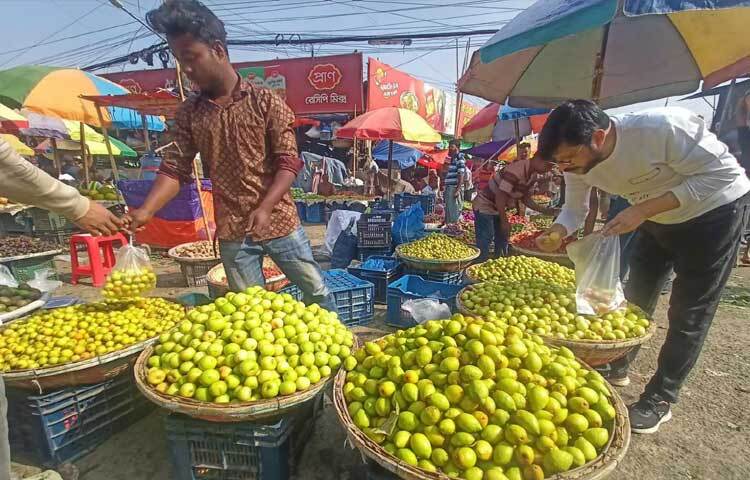 কমলা, আপেল, ডালিম, বড়ই, আঙ্গুরসহ নানান জাতের রসালো ফল।
