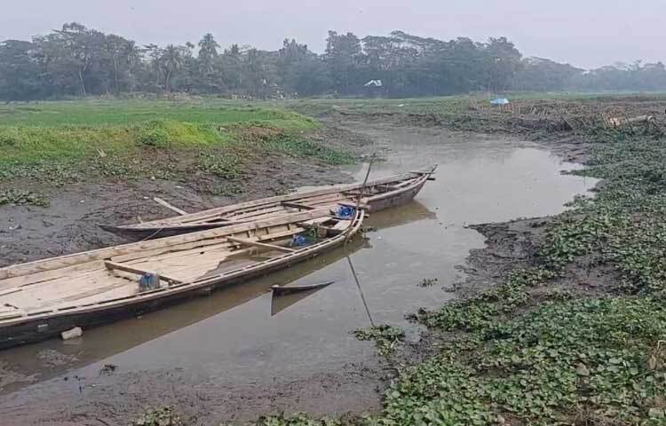 এতে গল্লাক থেকে শুরু করে দক্ষিণে লক্ষ্মীপুর জেলার কাটাখালি পর্যন্ত হুমকিতে পড়েছে প্রায় ৫০০ হেক্টরের আবাদি কৃষি জমি।