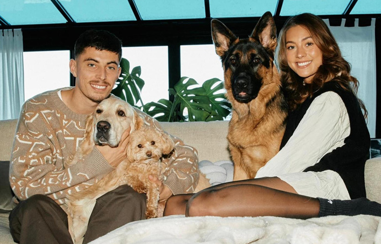 হাভার্টজ একজন প্রাণীপ্রেমী। তার একটি ঘোড়া ও কয়েকটি কুকুর রয়েছে। তিনি পশু কল্যাণে নিয়মিত দান করেন।