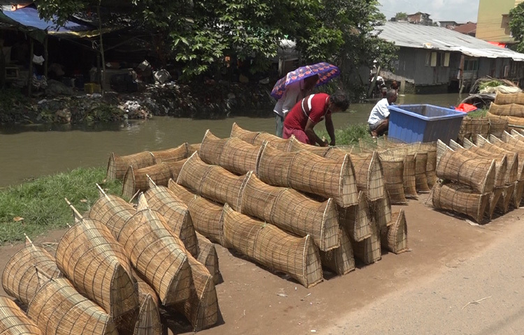 গ্রামবাংলার কৃষিজীবী মানুষের প্রিয় সরঞ্জাম বাঁশের চাঁই, যা বিশেষ করে এই সময়ে বেশি বিক্রি হয়। নদীর স্রোতের বিপরীতে বসিয়ে মাছ আটকে রাখার সুবিধাজনক এই ফাঁদ।