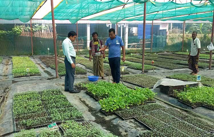 গুণগত মান ভালো হওয়ায় বর্তমানে রাজবাড়ীসহ দেশের বিভিন্ন জেলায় বিক্রি হচ্ছে গ্রিন এগ্রোর চারা। ফলে চাহিদা অনুযায়ী সরবরাহ করতে হিমশিম খাচ্ছে কর্তৃপক্ষ।