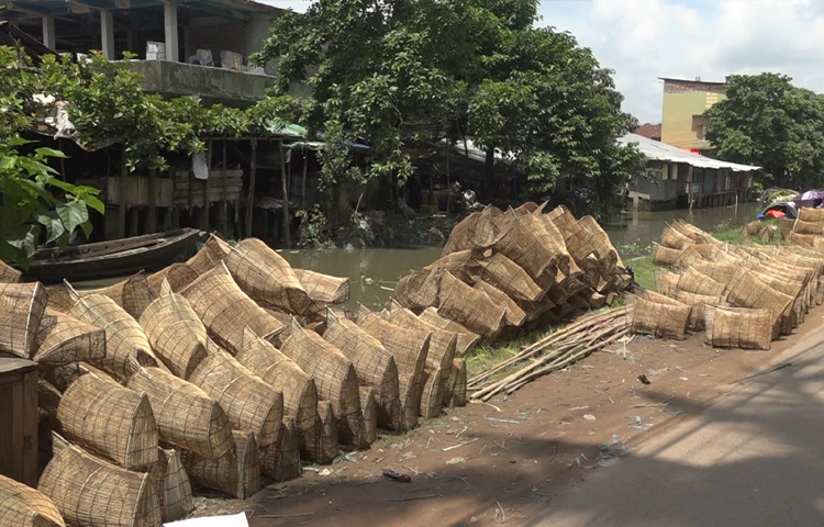 পিরোজপুরের দামোদর নদীর তীরে পালপাড়া সড়কের পাশে, নেছারাবাদের আটঘর-কুড়িয়ানা এবং নাজিরপুরের দীঘিরজান হাটে সপ্তাহে একাধিক দিন বসে চাঁইয়ের হাট।