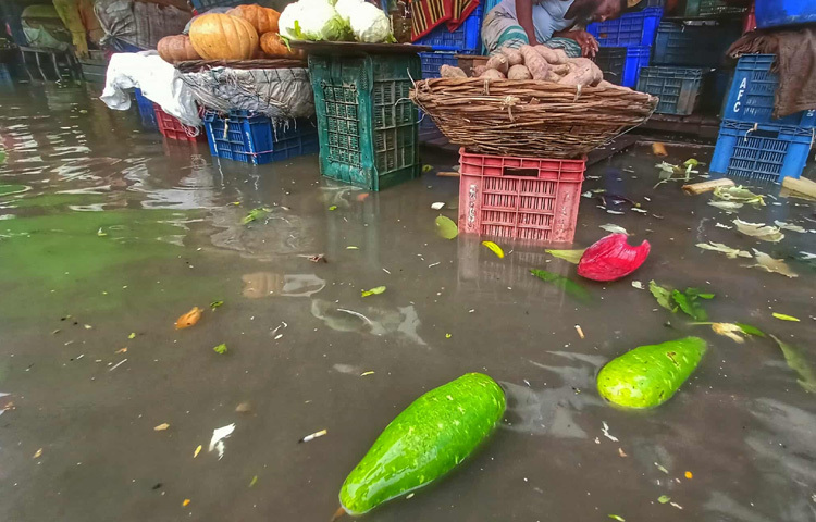 পানিতে ভাসছে সবজিসহ বিভিন্ন পণ্য।