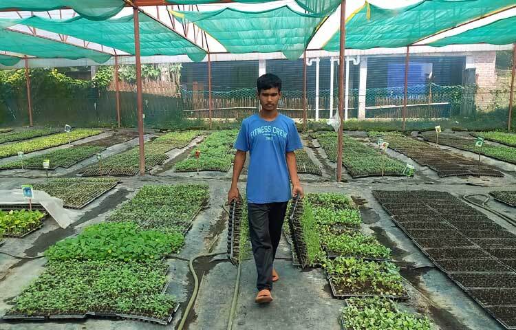 কাজী মোর্শেদ আলমের নার্সারিতে চারা তৈরি ও পরিচর্যায় কাজ করছেন ১২ জন শ্রমিক।