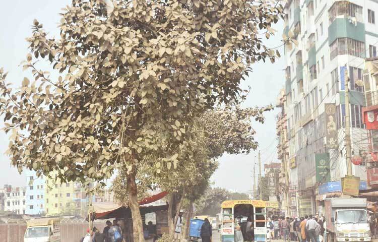 আইকিউএয়ারের ওই তালিকায় স্কোর শূন্য থেকে ৫০ এর মধ্যে থাকলে বায়ুর মান ভালো বলে বিবেচিত হয়। ৫১-১০০ হলে মাঝারি বা সহনীয় ধরা হয় বায়ুর মান।