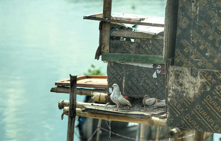 তুরাগ নদীর পাড়ে দাঁড়িয়ে যদি কেউ এক মুহূর্ত তাকায়, সে বুঝবে এখানেই ঢাকার আরেকটা রূপ আছে। বিলাসবহুল অ্যাপার্টমেন্ট থেকে কয়েক কিলোমিটার দূরে এমন মানুষও আছে, যারা নদীর ঢেউ গুনে দিন কাটায়।