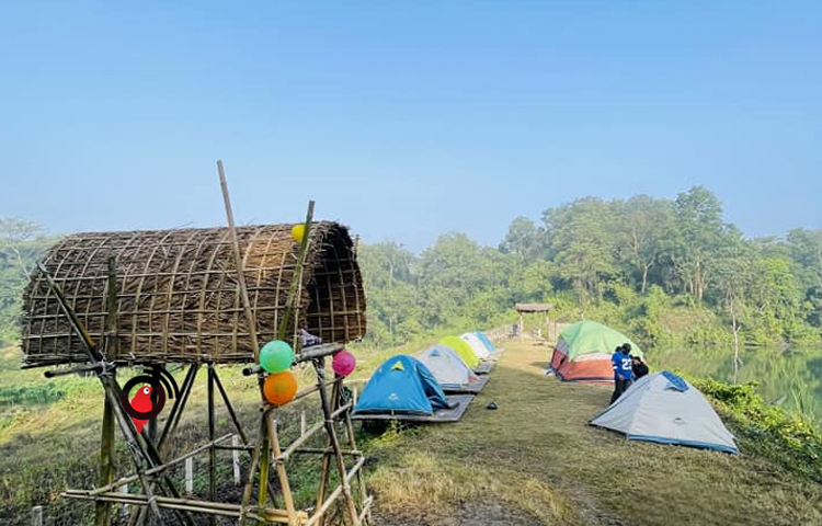 সোনাইছড়া লেকে ক্যাম্পসাইডে একসঙ্গে পাবেন পাহাড়, লেক ও ঝরনা। একই সঙ্গে দেখা মিলবে হরিণ,বানর,শুকর ও বনবিড়ালের ইত্যাদি। ছবি: এম মাঈন উদ্দিন