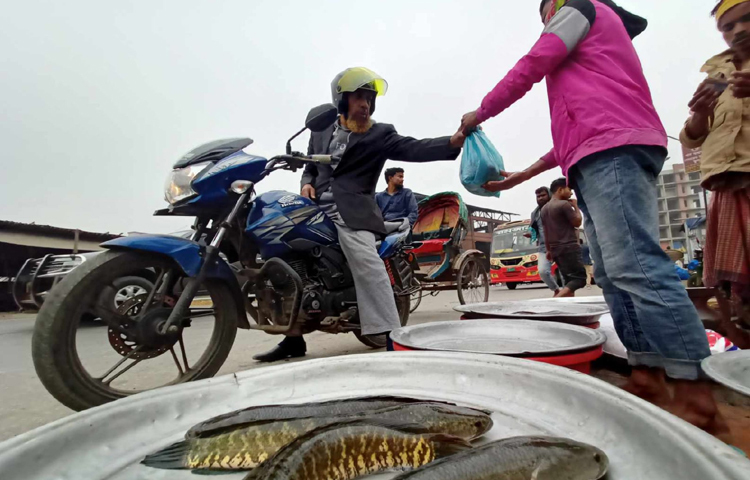 রাজধানীর মেরাদিয়া বাজারে দেখা মিলেছে দেশি প্রজাতির কৈ, শোল, বাইম, গুতুম ও পুঁটি মাছের। ছবি: মাহবুব আলম