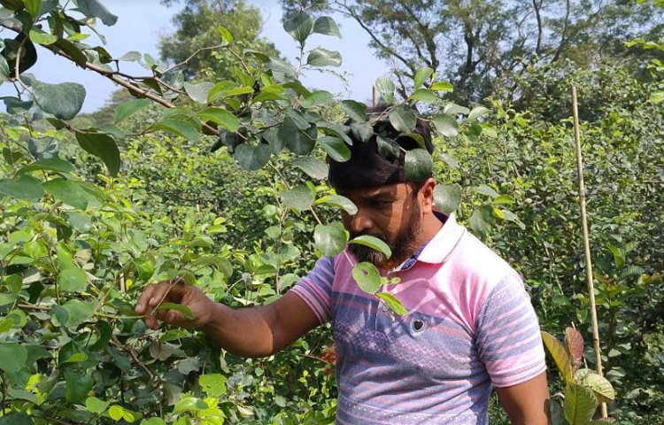 মুসলিম উদ্দিন মিরসরাই উপজেলার ৭ নম্বর কাটাছরা ইউনিয়নের পূর্ব কাটাছরা গ্রামের বাসিন্দা। এইচএসসি পাশ করার পর তিনি কৃষিকে পেশা হিসেবে বেছে নিয়েছেন। ছবি: এম মাঈন উদ্দিন