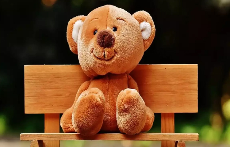 ভালোবাসার প্রকাশ নানাভাবেই হয়। ভালোবাসার পাশাপাশি প্রেম, আদর ও যত্নের প্রতীক হয়ে থাকে টেডি। তবে টেডি উপহার হিসেবে কেন এত বিখ্যাত? কবে থেকেই বা টেডি দেওয়ার রীতি শুরু হলো, তা কি জানেন? ছবি: সংগৃহীত