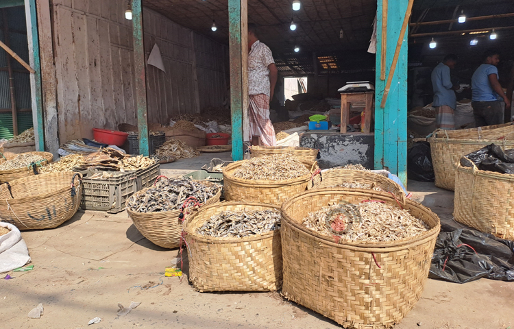 তবে দিনদিন জনপ্রিয় হতে থাকে শুঁটকির হাট। বর্তমানে এটি ‘রানীগঞ্জ হাট’ এর চেয়ে ‘শুঁটকির হাট’ নামেই বেশি পরিচিত। ছবি: নাসিম উদ্দিন