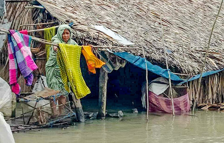 শুধু উপজেলাগুলোতেই নয়, খুলনা মহানগরীতে বৃষ্টির পানিতে তলিয়ে গেছে বিভিন্ন এলাকা। উপড়ে পড়েছে গাছপালা। ক্ষতিগ্রস্ত হয়েছে চার লাখ ৫২ হাজার ২০০ মানুষ। ছবি: আলমগীর হান্নান