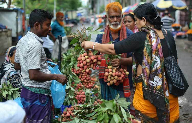 বাজারের পাশাপাশি শহরের অলি-গলির ভ্যানেও বিক্রি হচ্ছে লিচু। ছবি: মাহবুব আলম