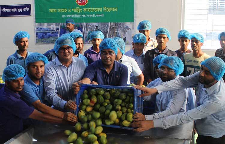 রাজশাহী, চাঁপাইনবাবগঞ্জ, নাটোর, নওগাঁ, দিনাজপুর, ঠাকুরগাঁও, মেহেরপুর, ঝিনাইদহ, সাতক্ষীরাসহ দেশের বিভিন্ন জেলা থেকে আম সংগ্রহ করা হচ্ছে। ছবি: জাগো নিউজ